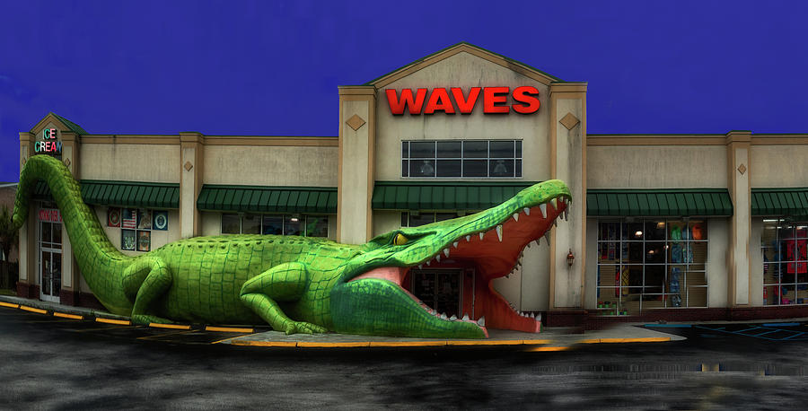 Waves Alligator Entrance Photograph