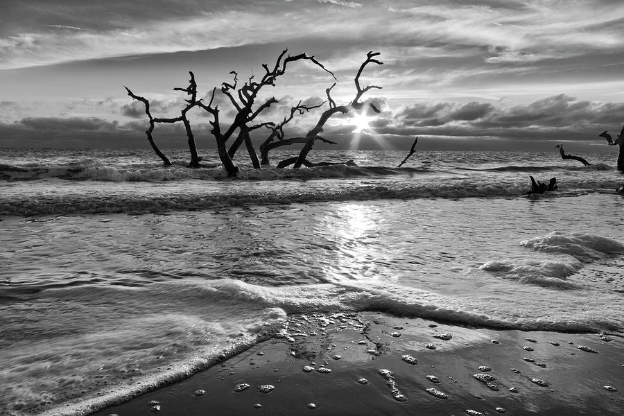 Waves at Driftwood Beach in Black and White Photograph by Debra and Dave Vanderlaan