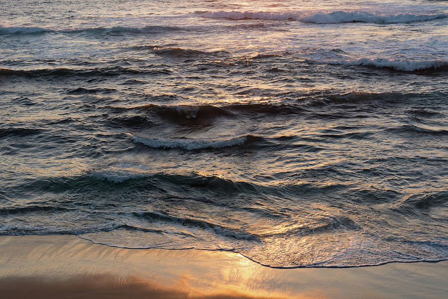 Waves at Sunset Photograph by Liz Albro