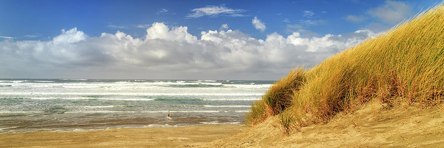 Waves Of Grass And Seashore Panorama Photograph