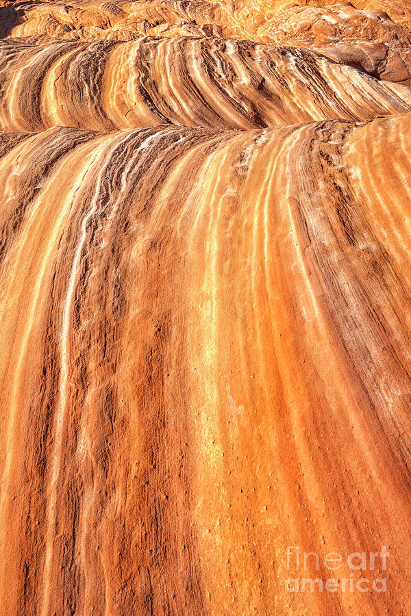 Desert Photograph - Waves of Stone by Michael Dawson