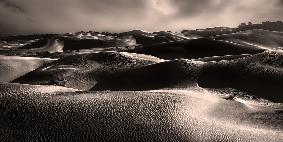 Desert Photograph - Waves by Weihong  Liu