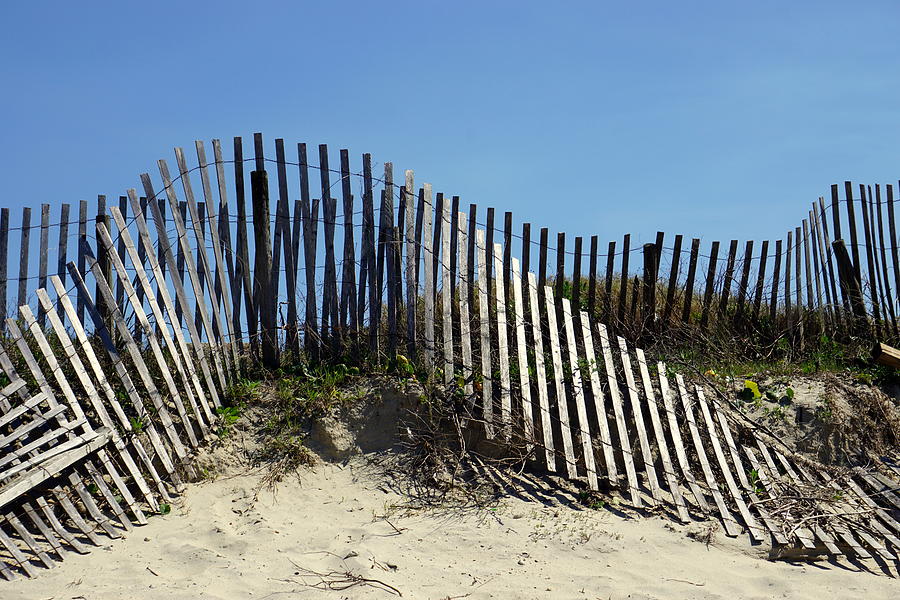 Wavy Fence Photograph by Marilyn Moran - Fine Art America