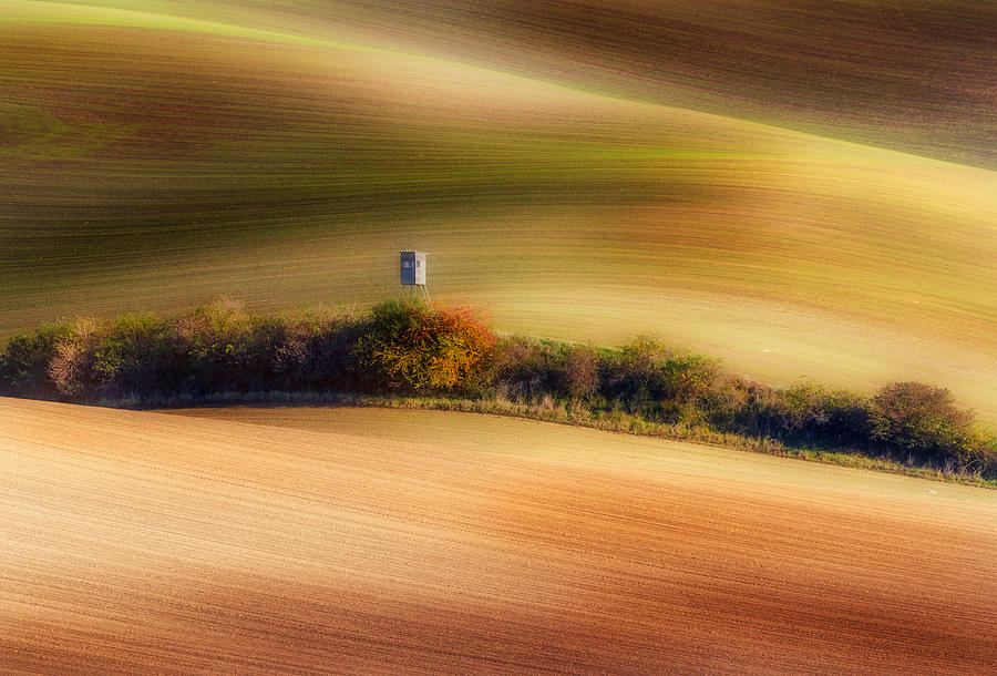 Wavy Fields Photograph by Piotr Krol (bax)