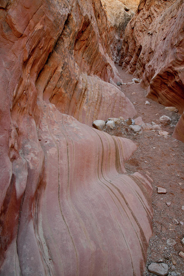 Wavy Sandstone Walls of Little Wild Horse Slot Photograph by Ray Mathis