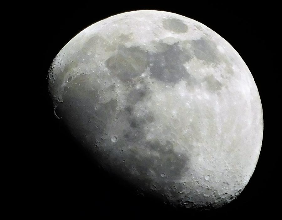 - Waxing Gibbous Moon Photograph by THERESA Nye