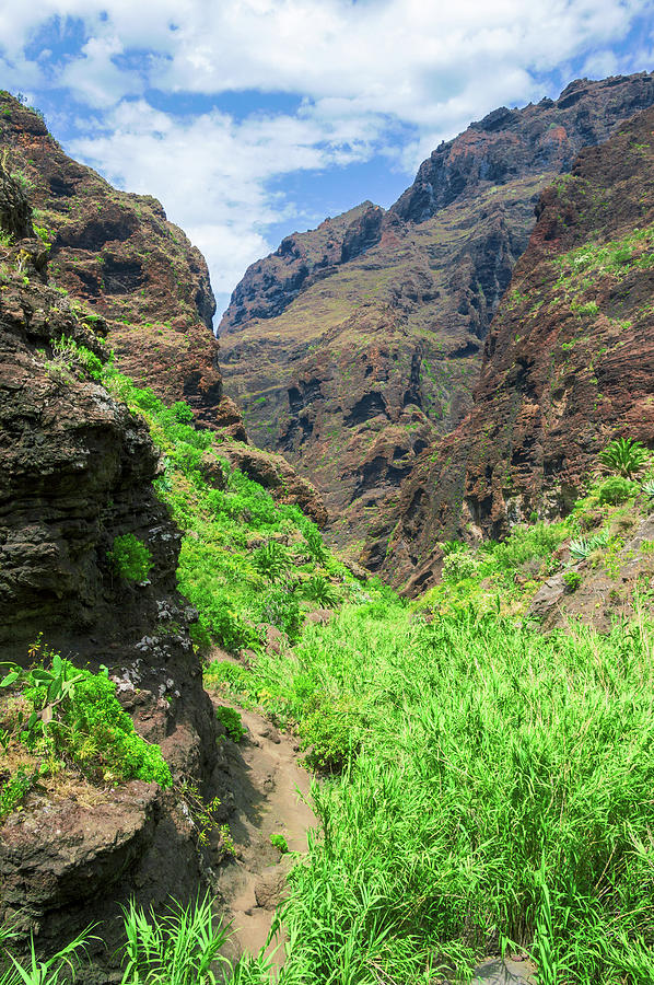 Way down in the Masca Gorge by Sun Travels Way down in the Masca Gorge by Sun Travels