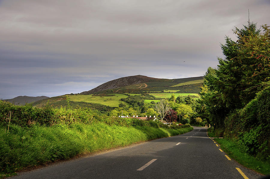 Way to Sugarloaf Hill. Ireland Photograph by Jenny Rainbow