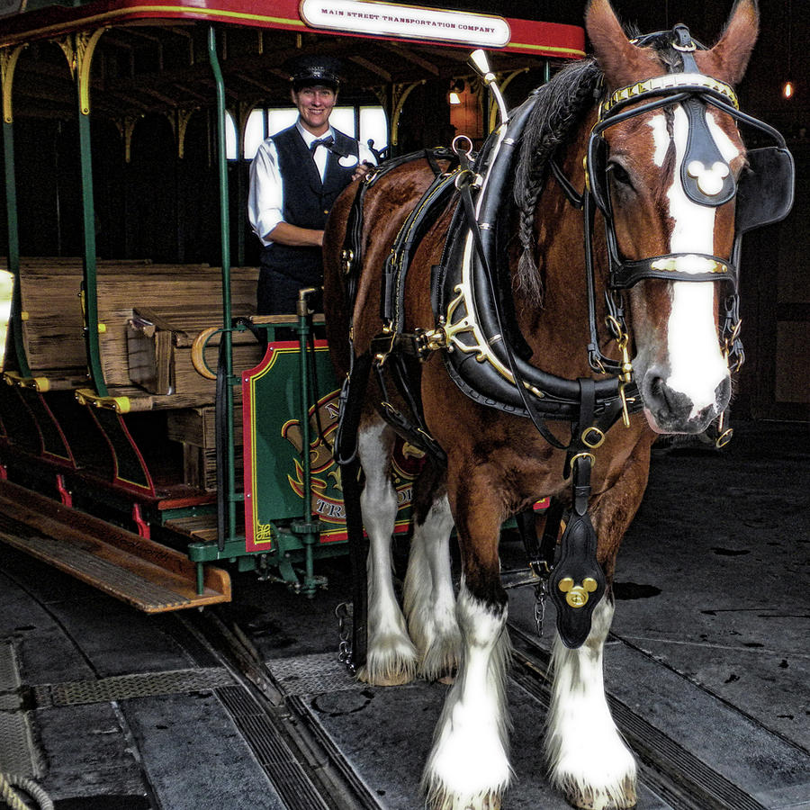 Train Ride Magic Kingdom Photograph by Thomas Woolworth - Fine Art America