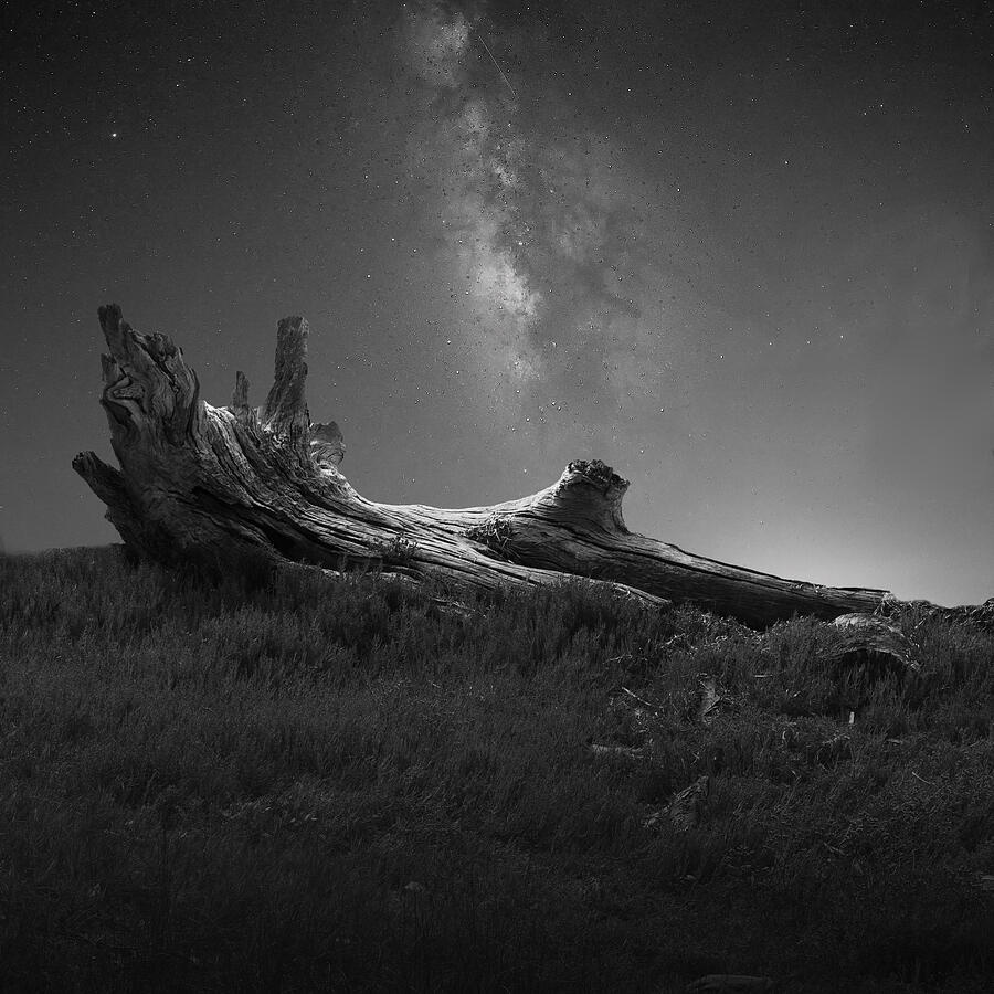 Landscape Photograph - We Are Each Alone by Margaret Halaby Landscape Photograph - We Are Each Alone by Margaret Halaby