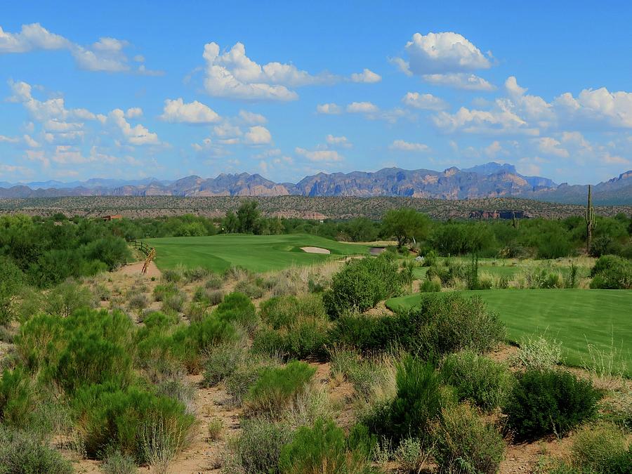 We-Ko-Pa Golf Club - Saguaro #11 Photograph by Scott Carda - Fine Art ...