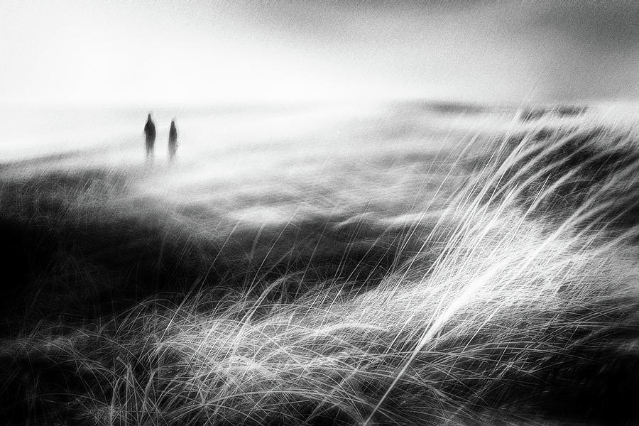 We Walk Alone Photograph by Gustav Davidsson