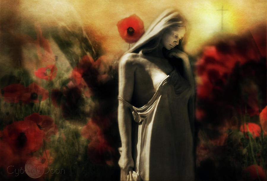 We Will Remember Them Photograph by Cybele Moon