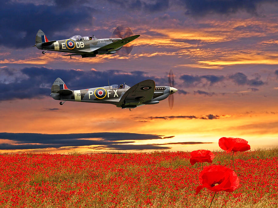 We Will Remember Them - Spitfires Over Poppy Field by Gill Billington We Will Remember Them - Spitfires Over Poppy Field by Gill Billington