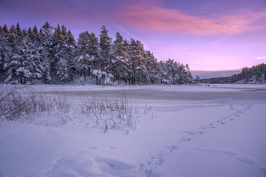 Weak Ice Photograph by Benny Pettersson Pro - Fine Art America