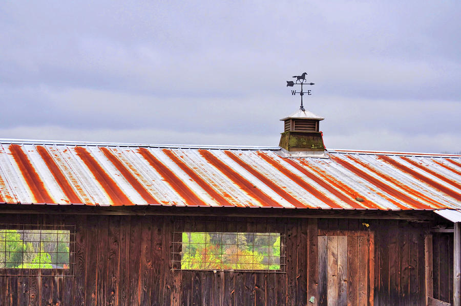 Weather Vane Photograph by JAMART Photography