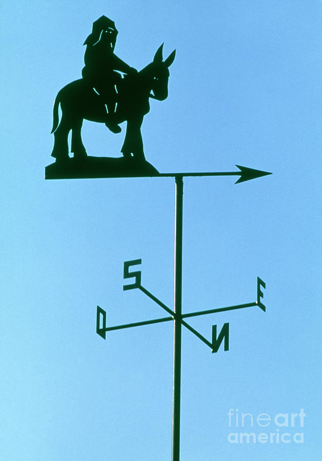 Weather Vane On Top Of Building Photograph by Francoise Sauze/science Photo Library