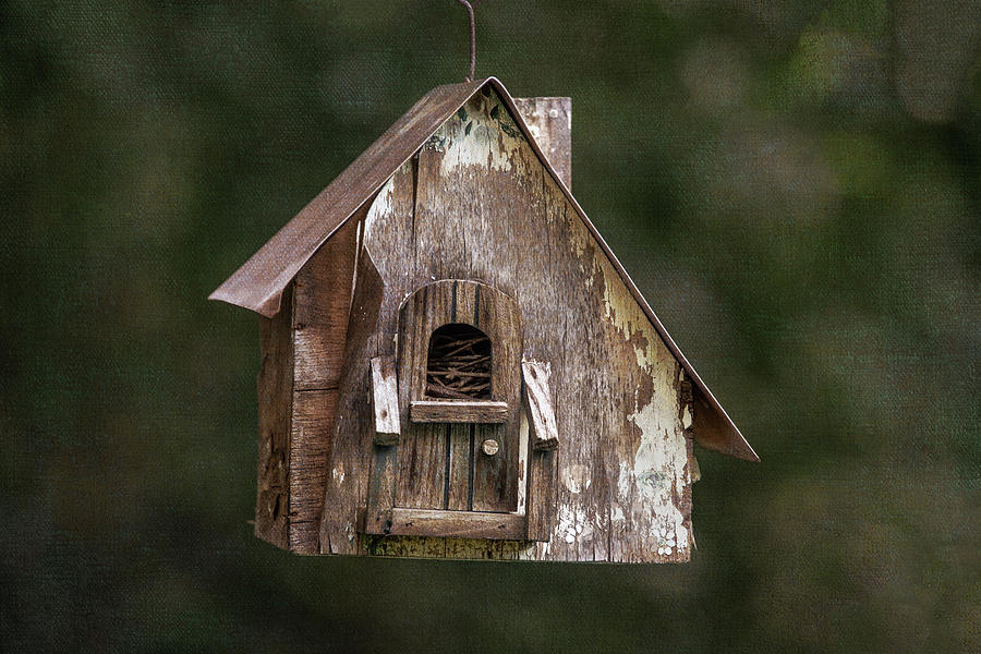 Weathered Bird House Photograph by Dale Kincaid