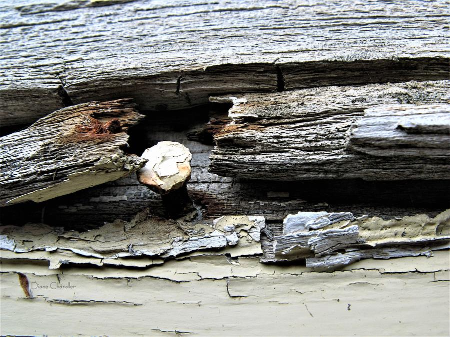 Weathered Photograph by Diane Chandler