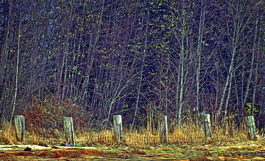 Weathered Fence Posts by Richard Farrington Weathered Fence Posts by Richard Farrington