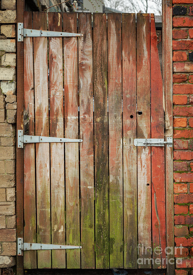 Weathered garden gate Photograph by Sophie McAulay