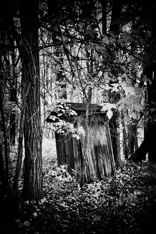 Tree Photograph - Weathered Outhouse in bw by Paul W Faust - Impressions of Light