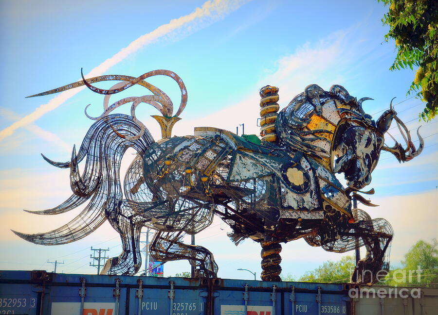 Weathering Horse Photograph by Tru Waters