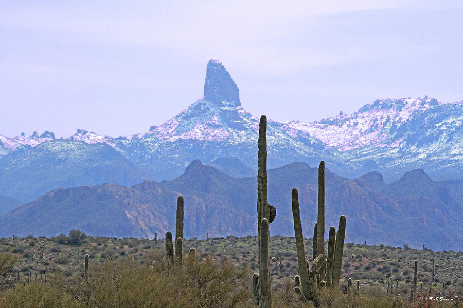 Weavers Needle Snow And Saguaro Cactus Digital Art by Tom Janca
