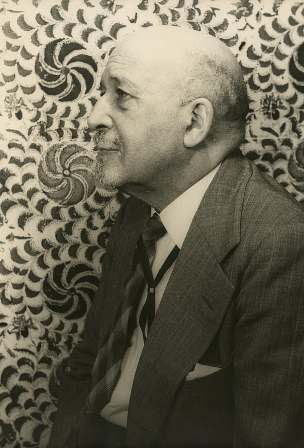 W.e.b. Du Bois, American Polymath Photograph by Science Source