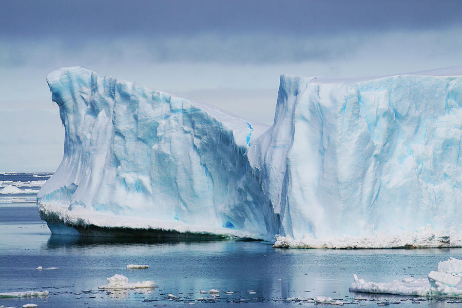 Weddell Sea Iceberg Photograph by Hiroya Minakuchi