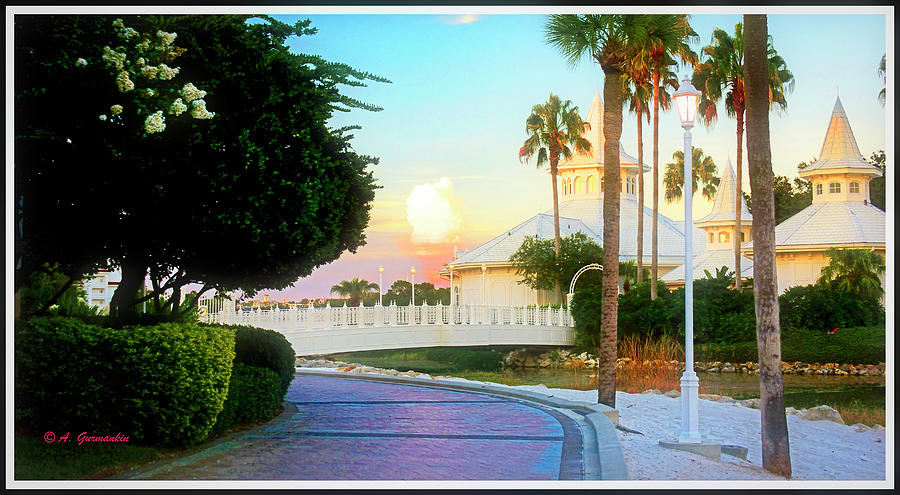 Wedding Pavilion Walt Disney World Orlando Florida Photograph By A