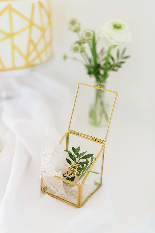 Wedding Rings, Sprig Of Leaves And Lace Doily In Geometric Glass Box Photograph by Katja Heil