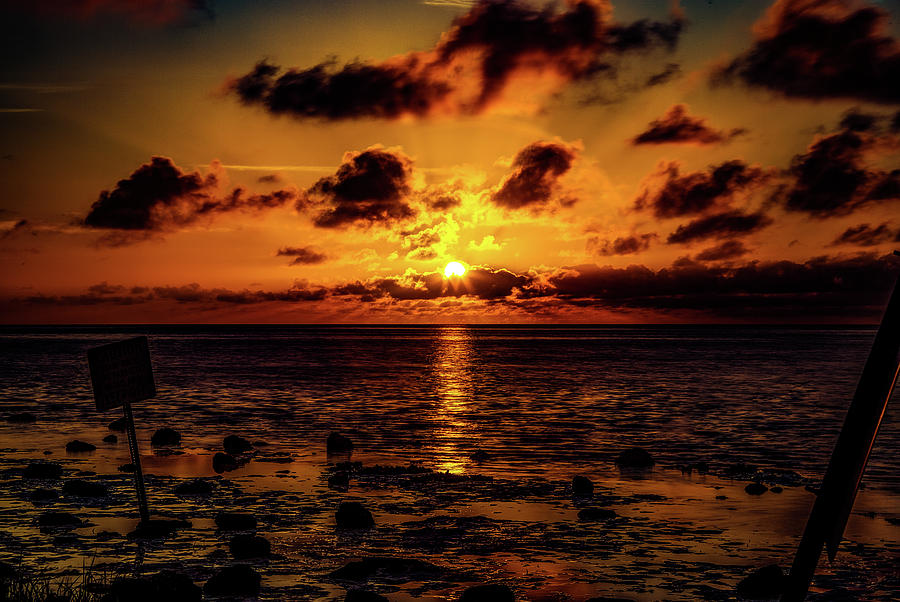 Weeki Wachee Sunset by Pete Federico Weeki Wachee Sunset by Pete Federico