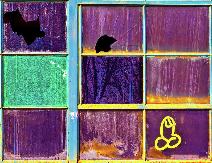 Weenie on a Window Photograph by Robert FERD Frank