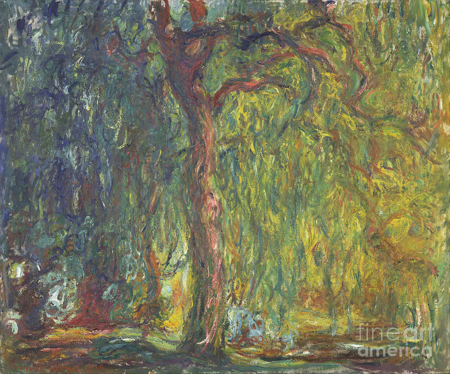 Weeping Willow. Artist Monet, Claude Drawing by Heritage Images