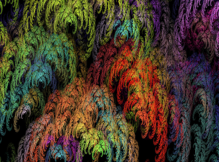 Weeping Willow Fractal Digital Art