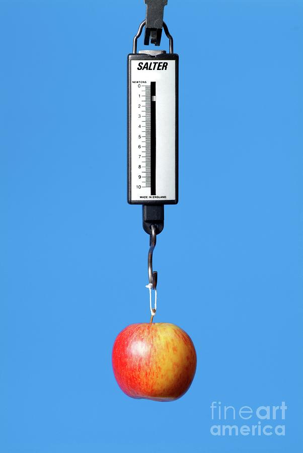 Weighing An Apple Photograph by Martyn F. Chillmaid/science Photo Library
