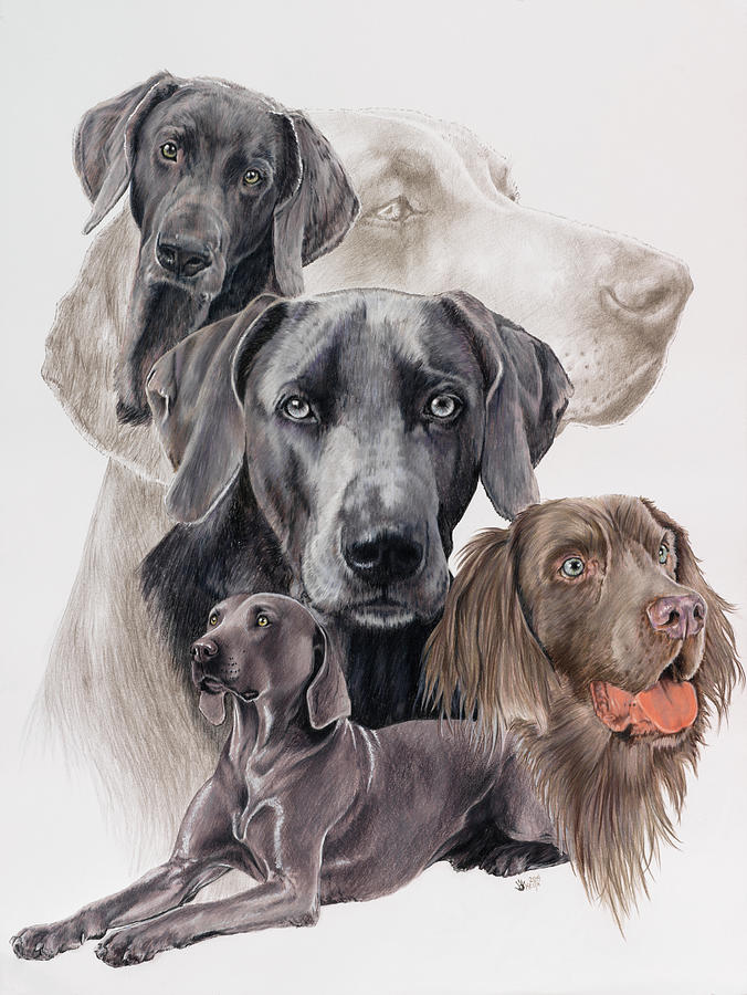Dog Painting - Weimaraner And Ghost by Barbara Keith