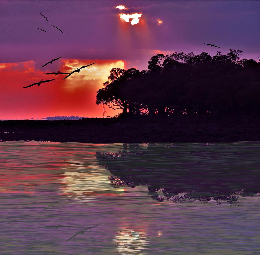 Weipa Sunset With Frigate Birds Photograph by Joan Stratton