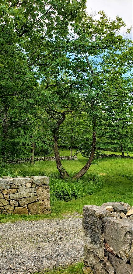 Weir Farm Stone Walls Photograph by Rob Hans