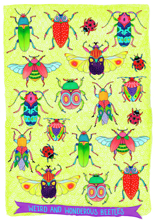 Insects Digital Art - Weird And Wonderous Beetles Mounted by Hello Angel