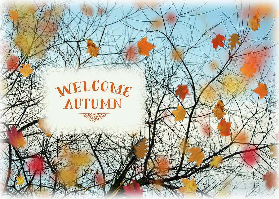 Autumn Photograph - Welcome Autumn by Cathy Kovarik