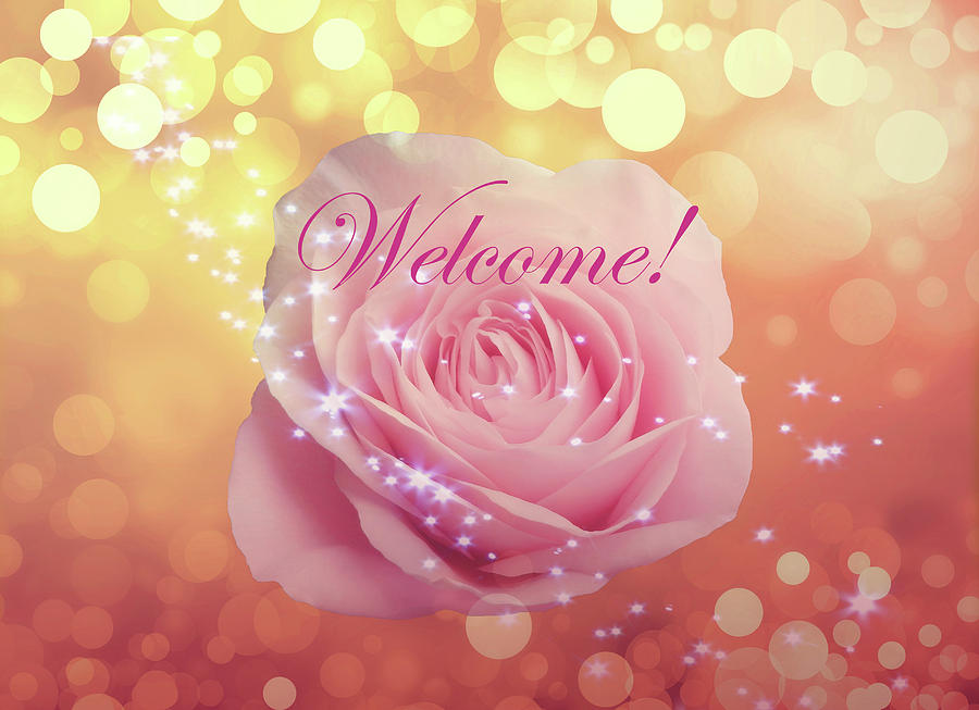 Welcome Card With A Rose Stars And Bright Circles Photograph by Johanna Hurmerinta