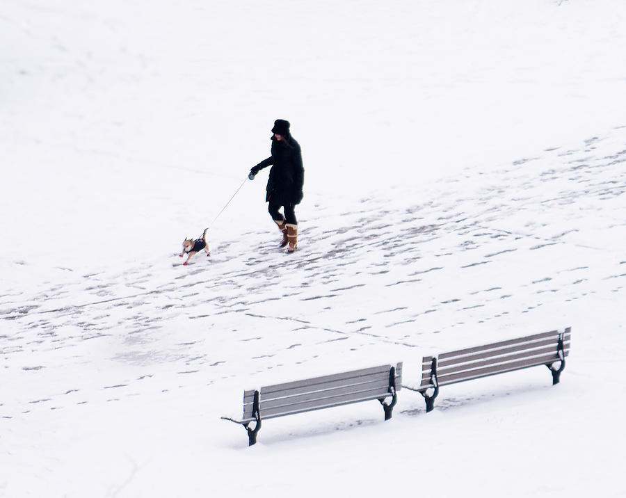 The First Snow 2024 Photograph by Hui Fine Art America