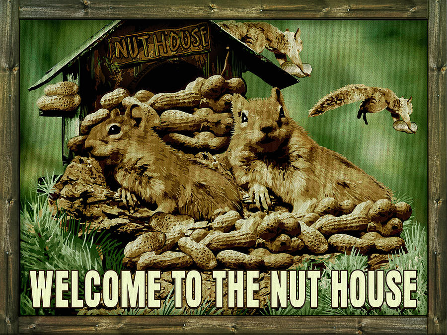 Squirrel Digital Art - Welcome To The Nut House by Ali Chris
