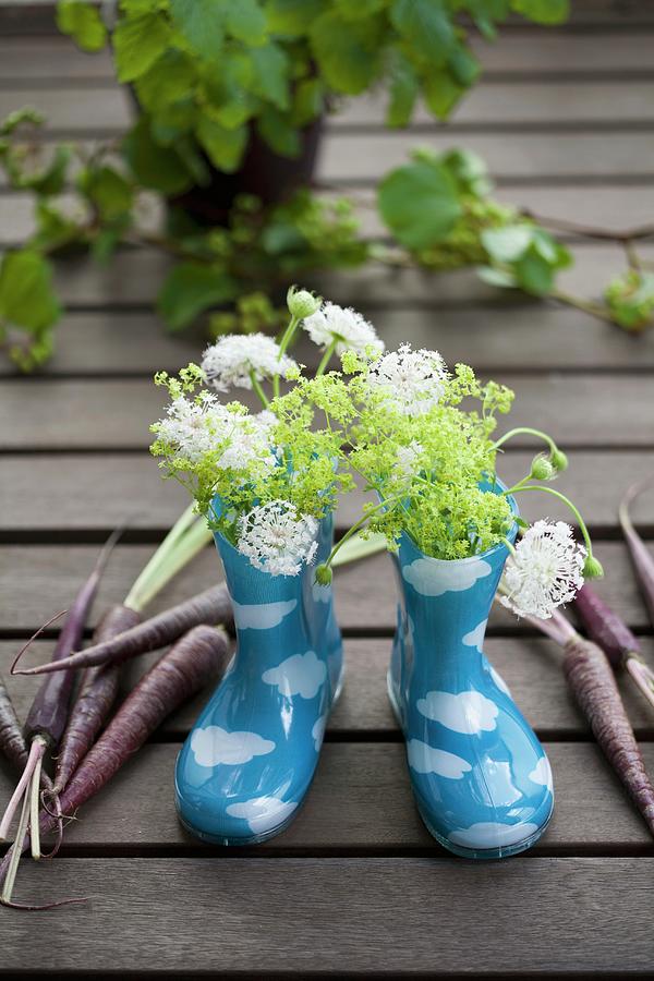 Wellies With Scabious, Ladies Mantle And Carrots Of The Variety anthonina Photograph by Martina Schindler