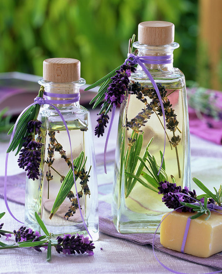Wellness Oil With Lavandula And Rosemary Photograph by Friedrich Strauss