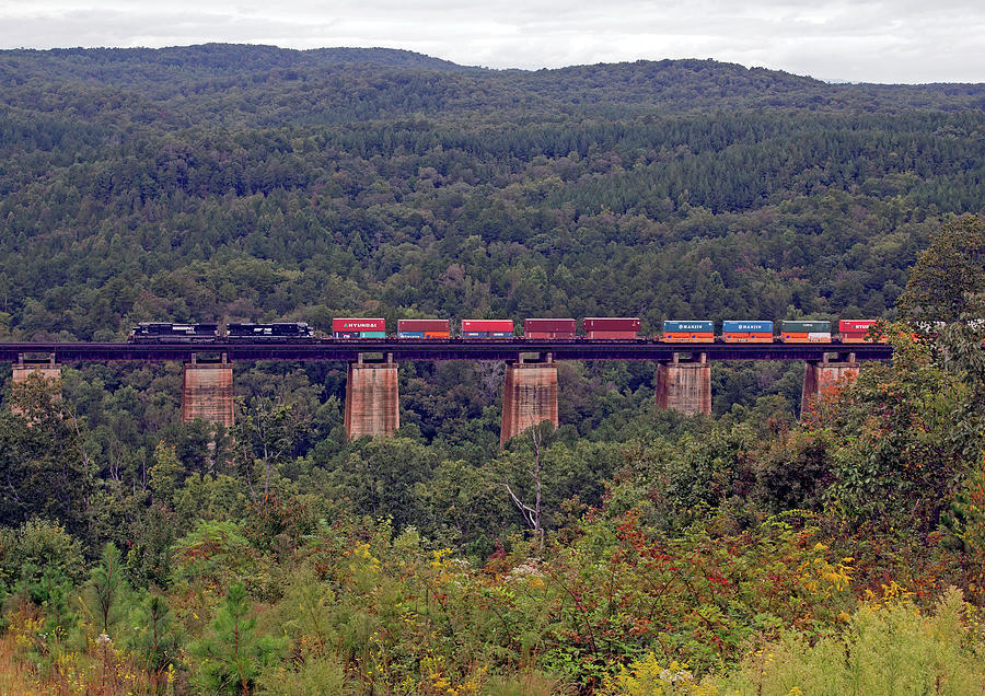 Wells Viaduct Train Photograph