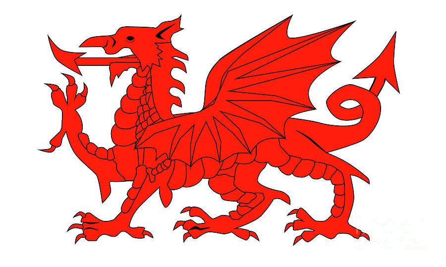 Welsh Dragon Digital Art by Bigalbaloo Stock - Pixels