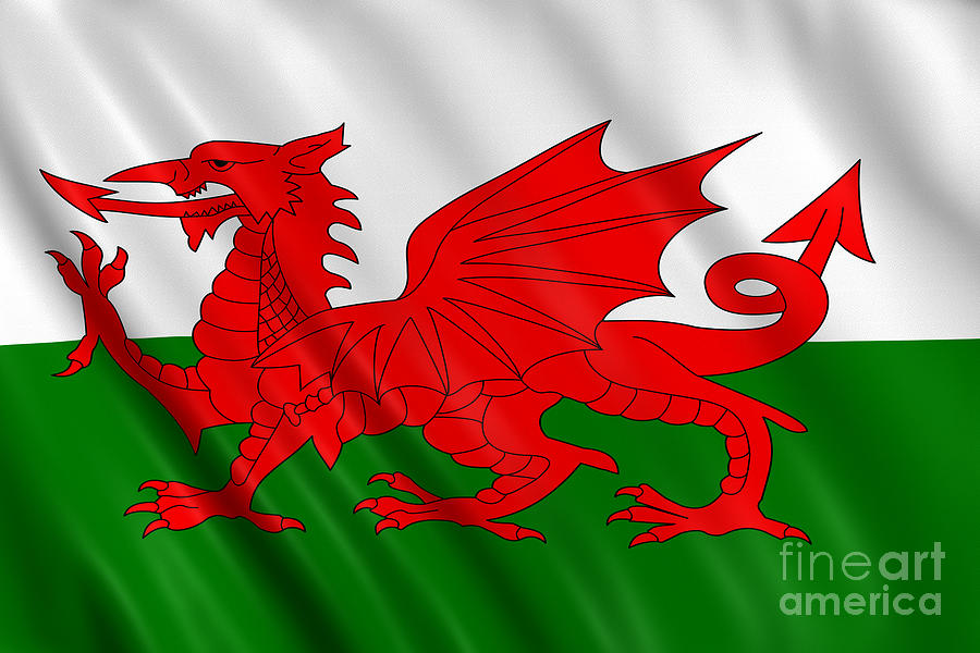 Welsh Flag Photograph by Visual7